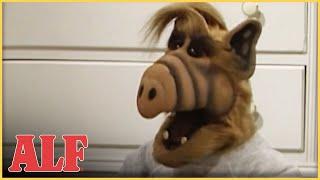 ALF Doesn't Want Kate to Work | ALF | S3 Ep9 Clip