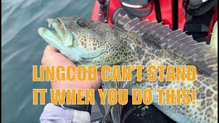 Use THESE tips to catch more Lingcods