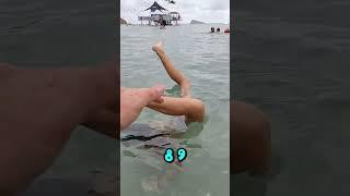 ¿Puedes aguantar haciendo el pino  durante 10 segundos en la playa ️? (RETO DEL DIA)