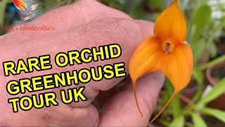 Orchid Greenhouse Tour (85)