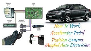 How To Work Accelerator Position SensorsEfi Basic Electronic Lessons3(Part1)Mughal Auto Electrician