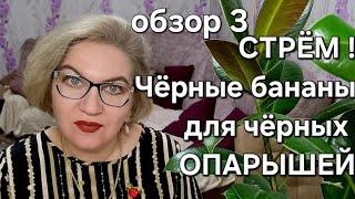 СТРЁМ !Чёрные  бананы для чёрных опарышей