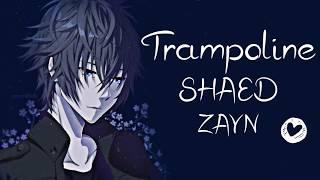 Nightcore → Trampoline  (ZAYN // SHAED) LYRICS ︎