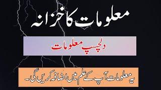 Interesting General Knowledge in urdu/hindi | Dilchasp Maloomat ka khazana in urdu |