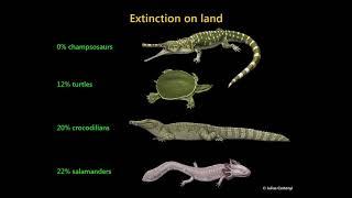 The Cretaceous-Palaeogene Mass Extinction: What Do We Really Know?