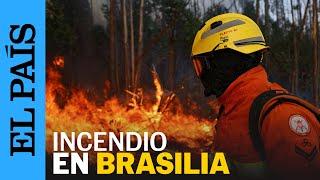 BRASIL | Incendio forestal consume el Bosque Nacional de Brasilia | EL PAÍS