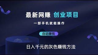 2024最新网赚兼职 黑金洗货 财务自由 USDT灰产品项目