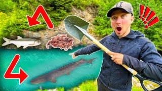 Food Chain Fishing Challenge - WORM to BIGGEST FISH