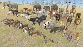 Land Animal Weight Comparison in 3D Animation | Realistic World Data