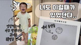 [시험관 둘째 기록] 과배란부터 배아 이식까지의 기록 / 배아 등급? 이식 배아 개수?