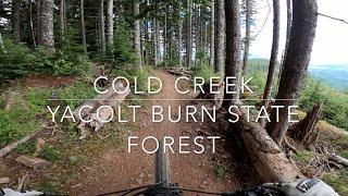 Cold Creek - Yacolt Burn State Forest - Larch Mountain, Washington