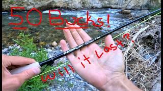 50 Dollar Walmart Fly Rod 1 Year Review!