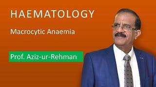 Anaemia  Part 6:  Macrocytic Anaemia