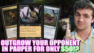 UNBOXING $50 Golgari Sacrifice For Pauper! Deck Tech for Magic: The Gathering