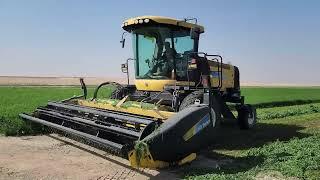 Mowing alfalfa hay with newholland