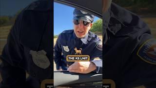 Cops Inside Your Car? #law #education