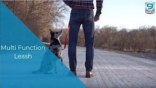 Blue 9 Pet Products Multi Function Leash