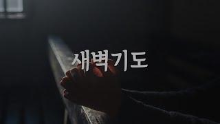 [새벽예배] 강해설교 (느헤미야 11:1-36)_구지충성교회_20250411(금)
