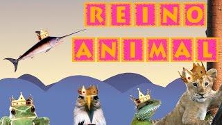 El Reino Animal para Niños | Videos Educativos para Niños