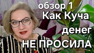 Кук Куча денег НЕ ПРОСИЛА