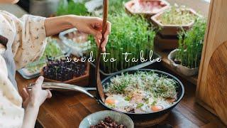 #36 Ten Simple Microgreens & Sprouts Recipes  | Seed to Table