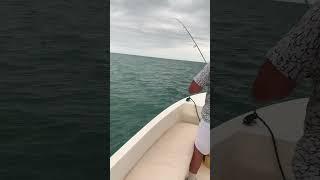 Скорпена 2.Рыбалка в Сочи. #fishing #fish #рыба #fishingvideo