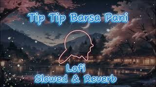 Tip Tip Barsa Pani--Lofi (Slowed & Reverbed) Mohra Movie --NayanArjU