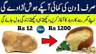 Business Start With 1000 Rupees In Pakistan At Home