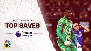 Top Premier League saves from Matchweek 12 (2024-25) | NBC Sports