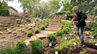 Watering the Downtown Pots & Working in My Parent’s Garden! ️ // Garden Answer