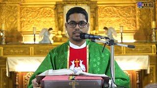 Mass in Konkani - 23rd June 2024 - Our Lady of Immaculate Conception Church, Panjim