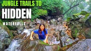 "From Jungle Trails to Hidden Waterfalls: Our Tamhini Ghat Adventure"