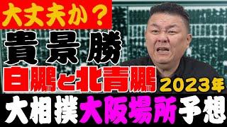 【大阪場所】貴景勝の優勝は？白鵬と北青鵬！平幕に落ちて連勝の正代