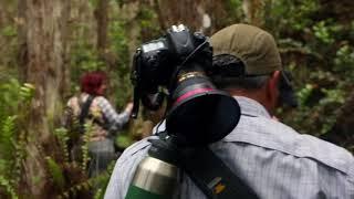 Clyde Butcher Photo Swamp Safari