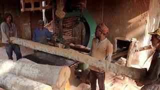 sawmill wood cutting working in factory amazing sawmill