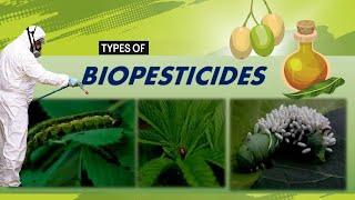 Biopesticides and its Common Types:  A Sustainable Solutions for Modern Agriculture