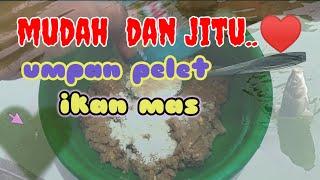 umpan pelet jitu ikan mas cepat kumpul empang harian