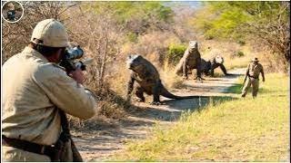 LIVE: How Do Hunters and Farmers Deal with Millions of Komodo Dragons, Feral Hogs by Guns?