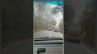 രാജാവിൻറെ മകൻ അല്ല ഞാൻ രാജാവാണ് #wayanad #tamilnadu #truckdriver ##vehiclevideos #saudihousedriver