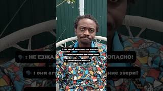Чёрный русский выбирает Россию #юмор #прикол #черныйрусский
