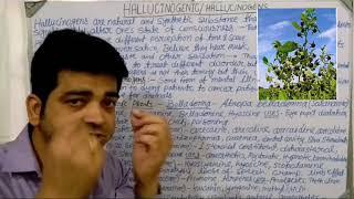 Hallucinogens / Hallucinogenic Plants #hallucinogenicplants #hallucinogen