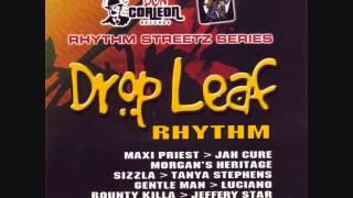 Drop Leaf Riddim Mix (2005) By DJ WOLFPAK