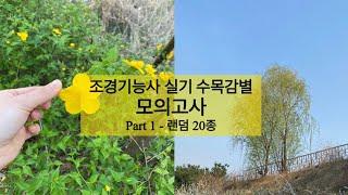 조경 𖦹 조경기능사 실기 수목감별 모의고사 part1  | 조경기능기능사 실기 | 조경기능사 수목감별 | part 1 - 1~20