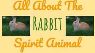  THE RABBIT SPIRITThe Rabbit  as your Spirit Animal & its Symbolism