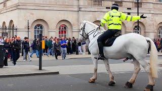 Horse Guards Parade Mayhem: Car Crash Halts Traffic, Police Spring into Action..!