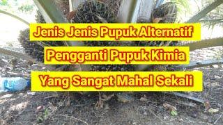 Khusus Buat Petani Sawit Yang Mencari Pengganti Pupuk Kimia Yang Mahal