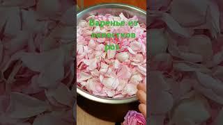 Варенье из чайной розы