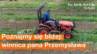 Poznajmy się bliżej: winnica Celtica w Sobótce pana Przemysława