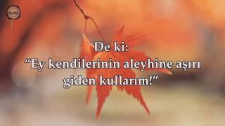 Qurandan ayeler