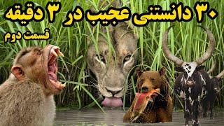 دانستنی روز : 30 دانستنی عجیب برای افزایش اطلاعات عمومی